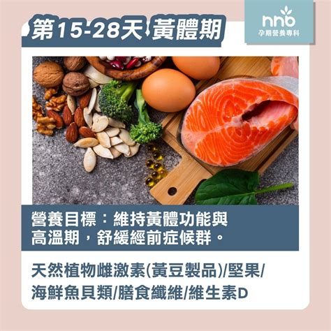 養卵禁忌|備孕必讀！養卵三寶是什麼：必備養卵保健食品，助你。